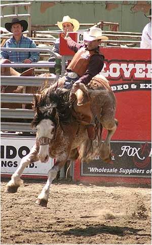 Cloverdale Rodeo: Canada's second largest (after the Calgary Stampede)